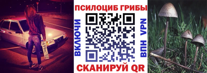 Галлюциногенные грибы прущие грибы  Новоузенск 