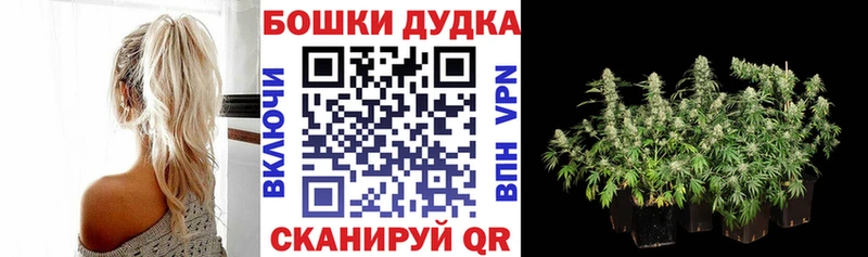 Бошки марихуана AK-47 наркошоп мориарти клад Новоузенск